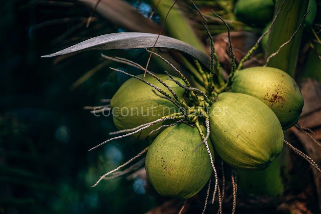 Organic Sourcing